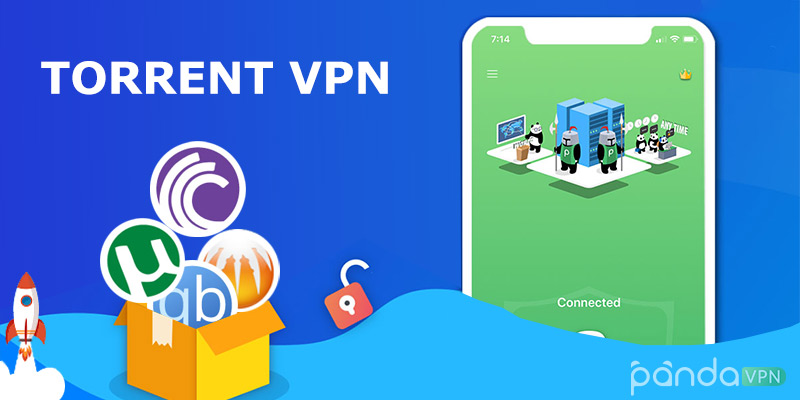 Torrent VPN